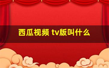 西瓜视频 tv版叫什么